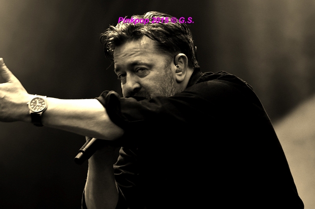 Elbow  (8).JPG